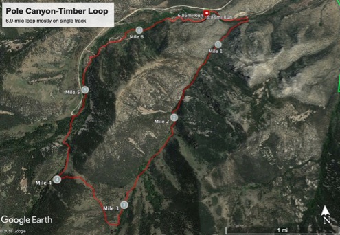 Pole Canyon-Timber Loop